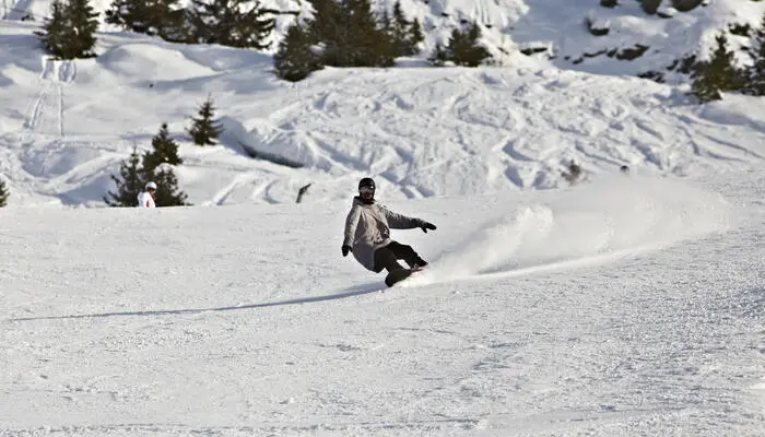 Ski Area