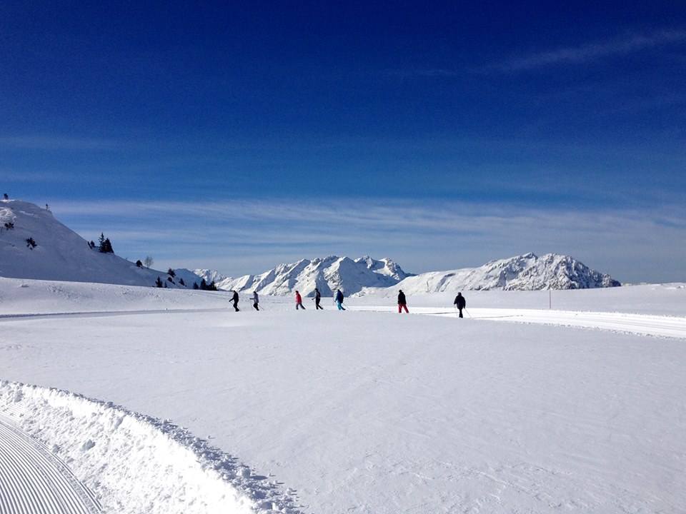 Winter walkers