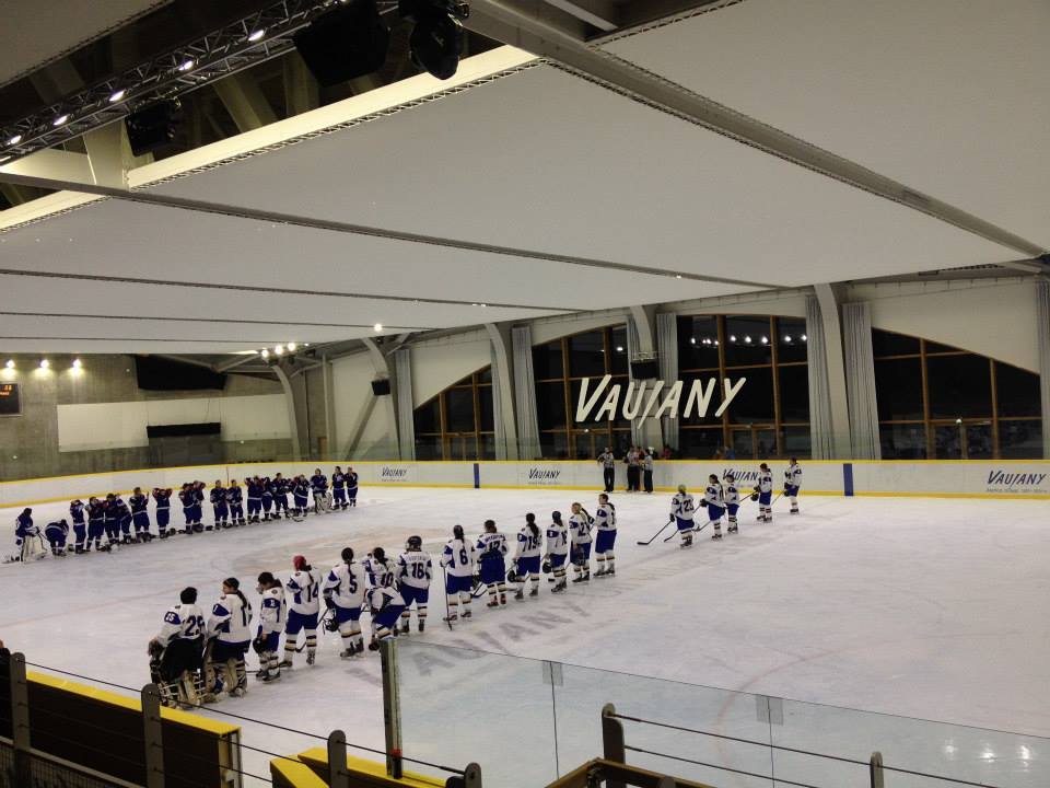 Ice hockey