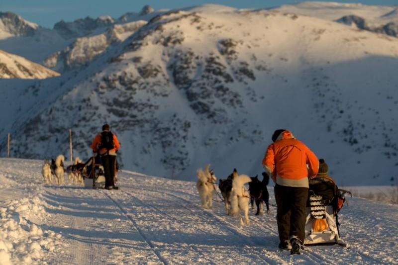 Dog sledding