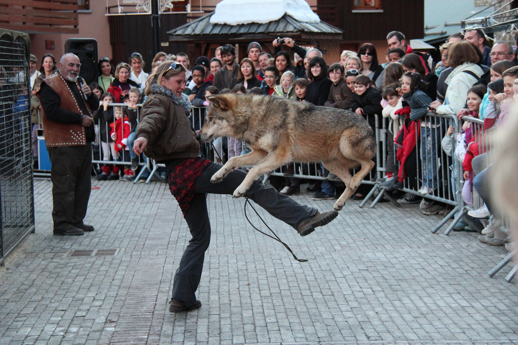 Wolf dancing