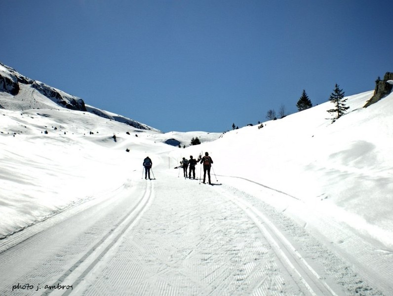 cross country 3